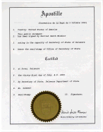 USA Apostille. Delaware Apostilled Certificate of Incorporation