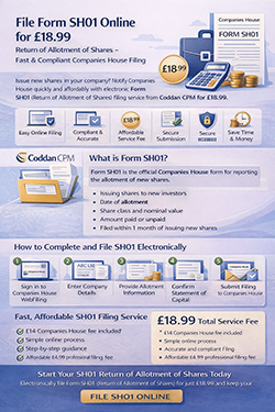 Informative flyer for the SH01 file form available online, detailing submission steps and providing a website link. Visual flyer for the online SH01 file form, including guidelines for completion and a link to the submission portal.